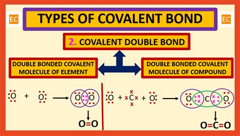 Applications of Double Covalent Bonds